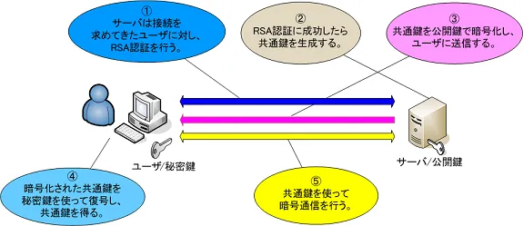 rsa_ssh.png